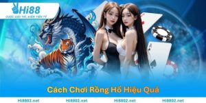 Cách Chơi Rồng Hổ Hiệu Quả – Chiến Lược Đặt Cược Thông Minh