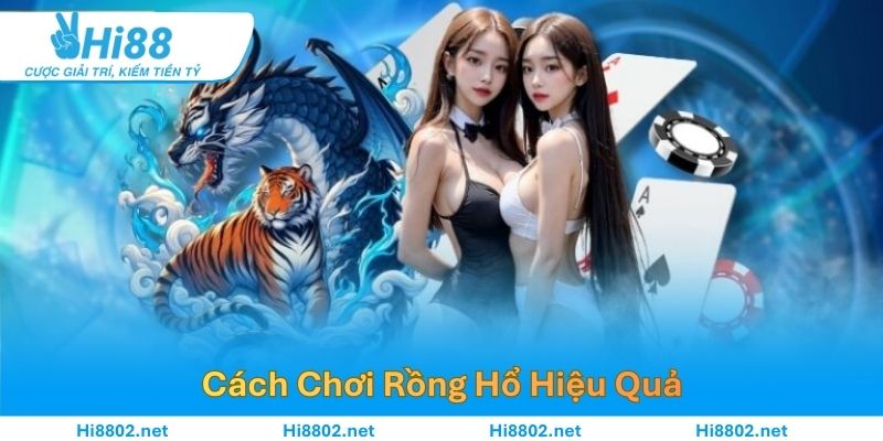 Cách Chơi Rồng Hổ Hiệu Quả – Chiến Lược Đặt Cược Thông Minh