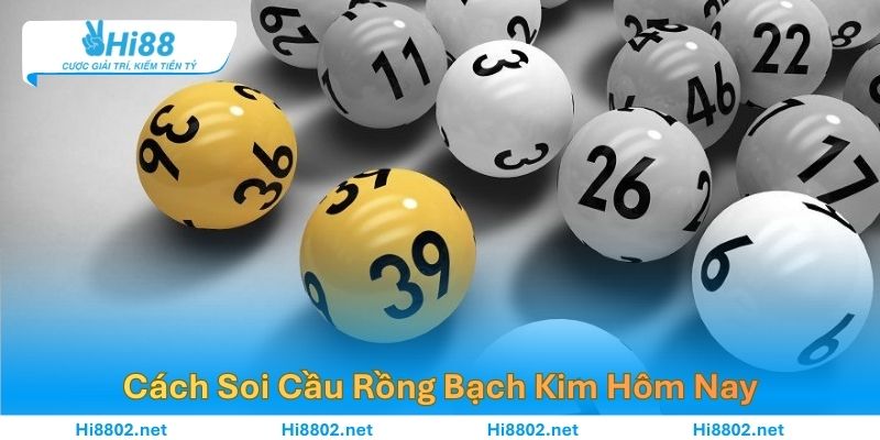 Cách Soi Cầu Rồng Bạch Kim Hôm Nay