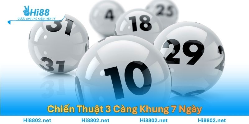 Chiến Thuật 3 Càng Khung 7 Ngày – Phân Tích Cách Nuôi Chuẩn
