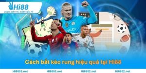 Cách bắt kèo rung hiệu quả, thắng lớn dễ dàng tại Hi88