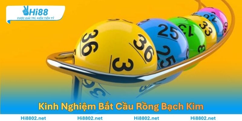 Kinh Nghiệm Bắt Cầu Rồng Bạch Kim