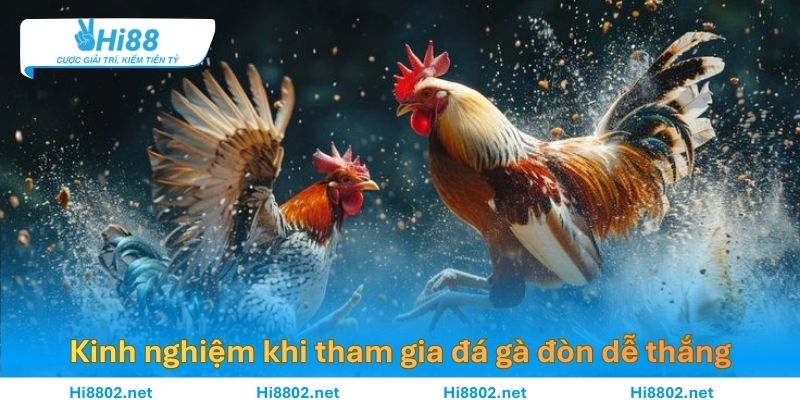 Kinh nghiệm khi tham gia đá gà đòn dễ thắng