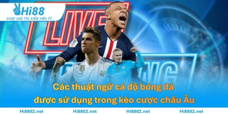 Kèo cá cược Châu Âu đơn giản dễ chơi